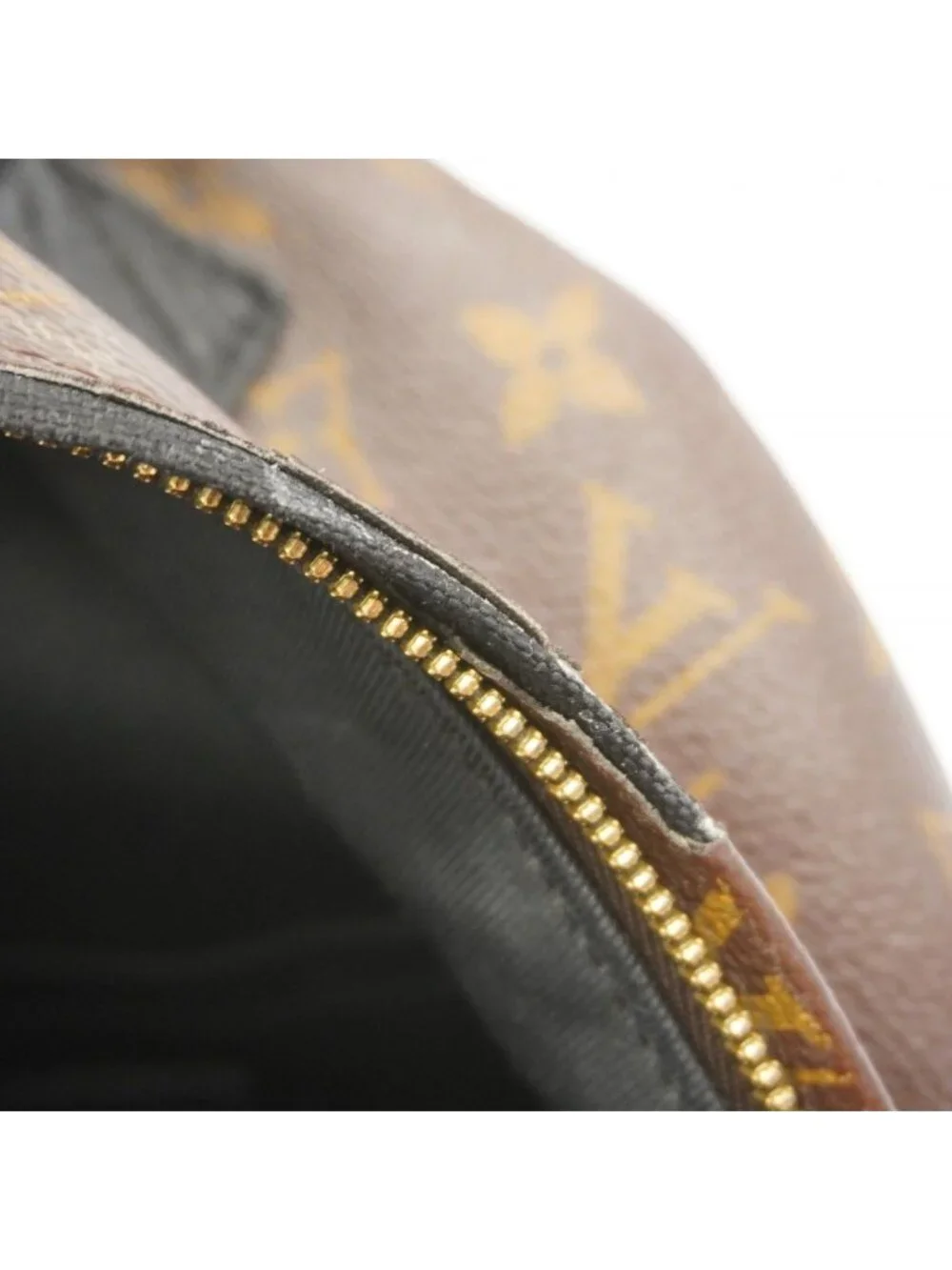 Louis Vuitton Backpack Monogram Palm Springs PM Brown